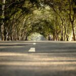 patterson legal group, road conditions